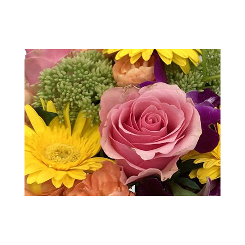 Japan Flower Shop Delivery