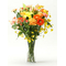 Roses, Gerberas & Carnations Delivery Japan