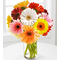 12 Multi-Color Gerbera Daisies Vase - Send Flowers Japan Online