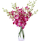 Dendrobium Orchids - Send Flowers Japan Online
